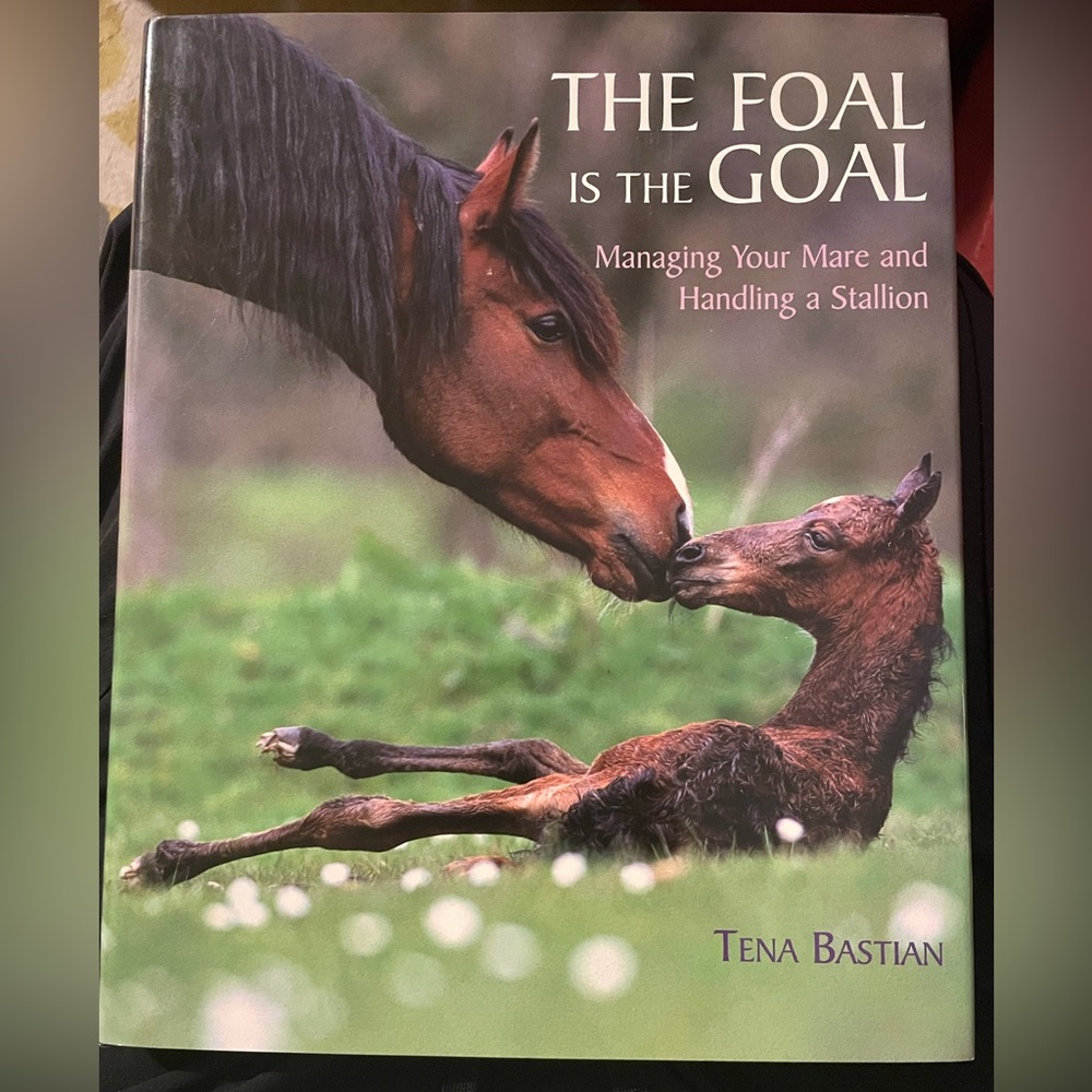 THE FOAL IS THE GOAL MANAGING YOUR MARE AND HANDLING A By Tena Bastian EXCELLENT